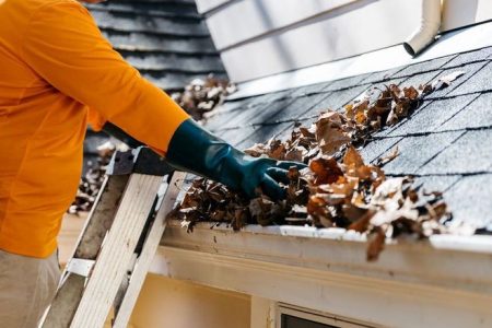 gutter cleaning